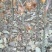 梨树苗0.8cm80cm以上自家苗圃，20万梨苗