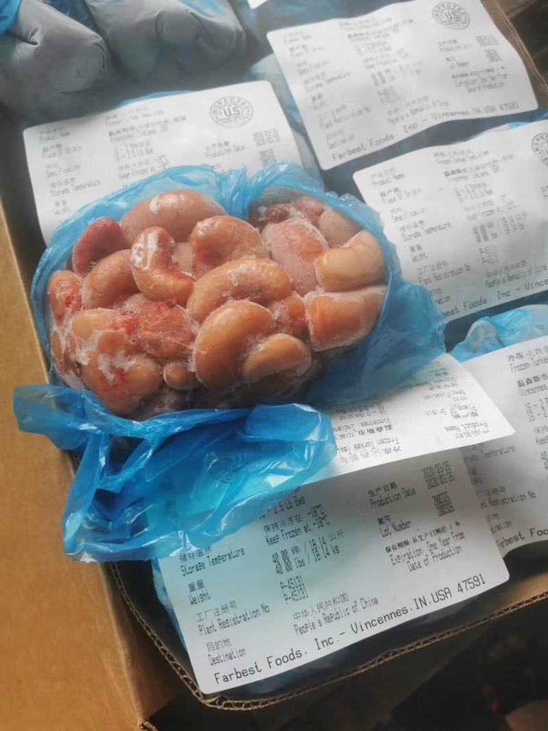 公鸡蛋，鸡卵鸡子火鸡卵