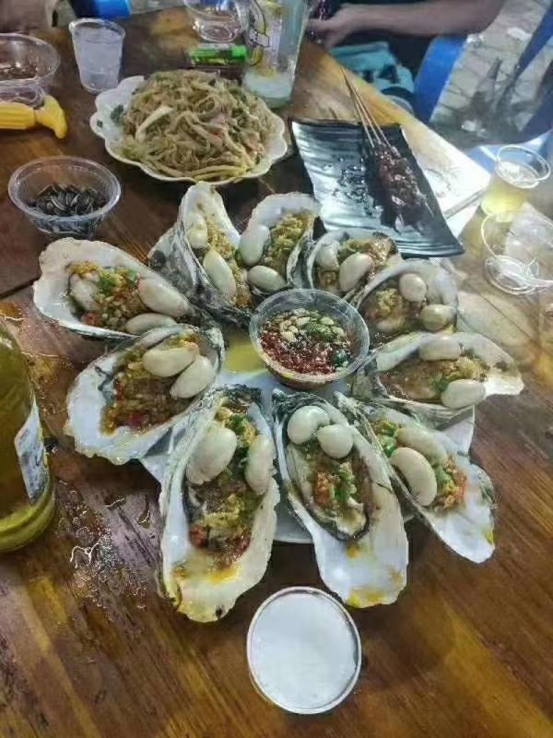 公鸡蛋，鸡卵鸡子火鸡卵