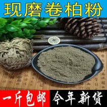 中药材卷柏粉九死还魂草打粉还魂草粉散装包邮