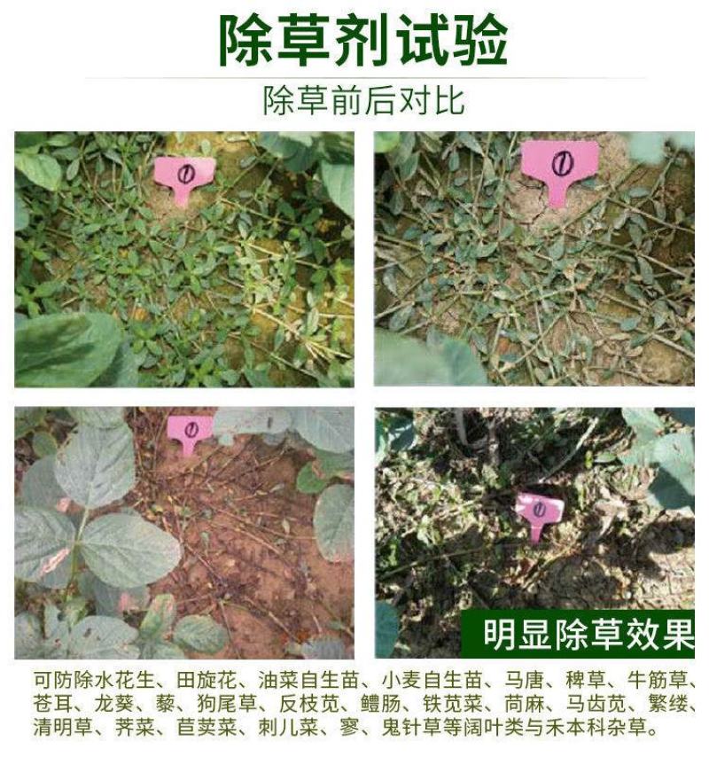 黄豆田大豆田苗后杂草专用除草剂精喹禾灵氟磺胺草醚禾