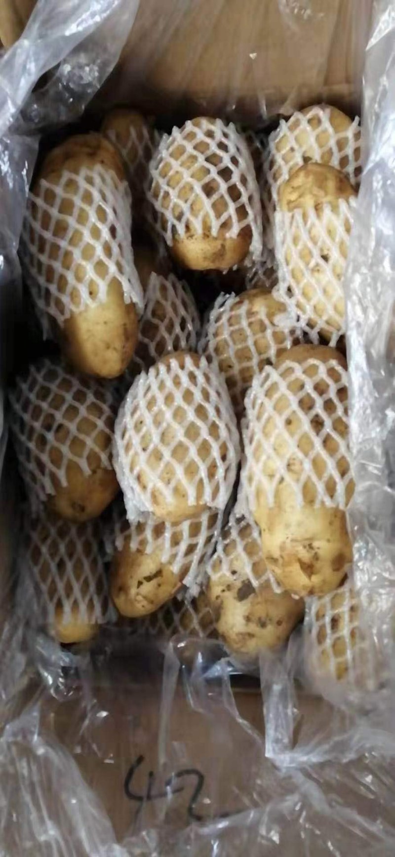冷库荷兰十五土豆大量销售全国发货，价格不高，一手货源