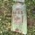 河南周口鹿邑优质芹菜精品小颗，大量上市，产地直发