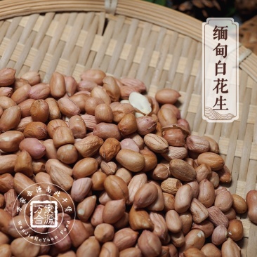 【万家合源南北干货特卖会】缅甸白花生