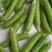 千亩豌豆种植基地一手货源欢迎电商工厂市场老板采购
