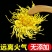 修水原产地散装金丝皇菊一朵一杯独立包装菊花茶