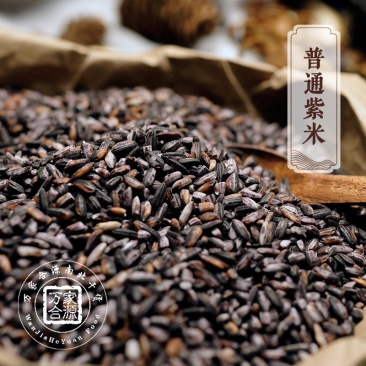 【万家合源南北干货特卖会】普通紫米