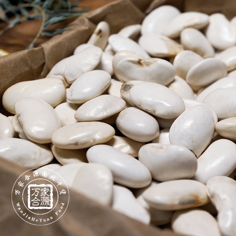 【万家合源南北干货特卖会】中白芸豆