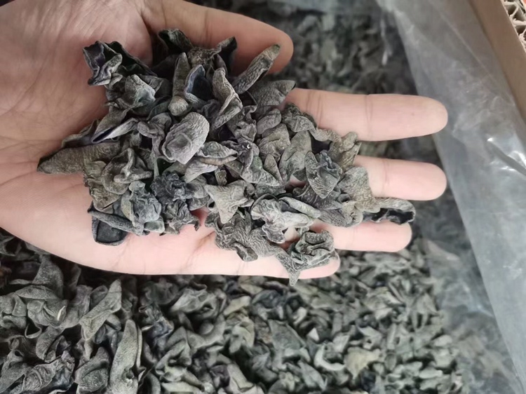 一簇干燥的优质黑木耳,呈深褐色,表面有自然褶皱,质地坚韧,背景为木质砧板,旁边有一小碗清水浸泡后的膨胀木耳作为对比 黑木耳特写
