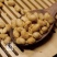 【万家合源南北干货特卖会】炒黄豆