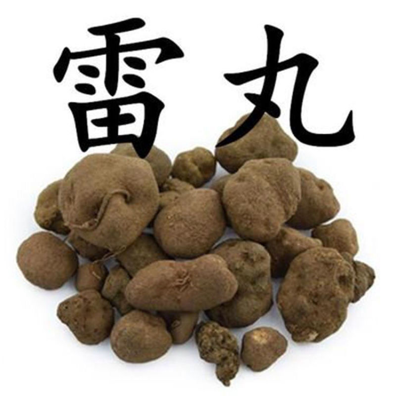 雷丸中药材正品云南竹林竹林子雷实正宗中药材