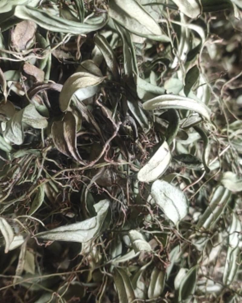 野生抱石连，石瓜子干货，