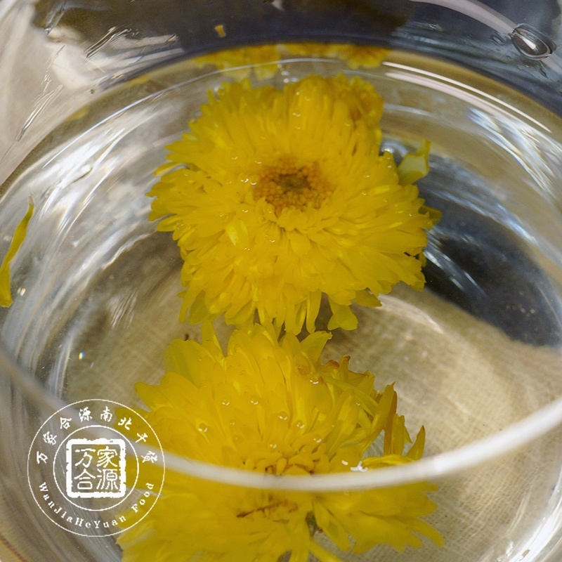 【万家合源南北干货特卖会】黄菊花