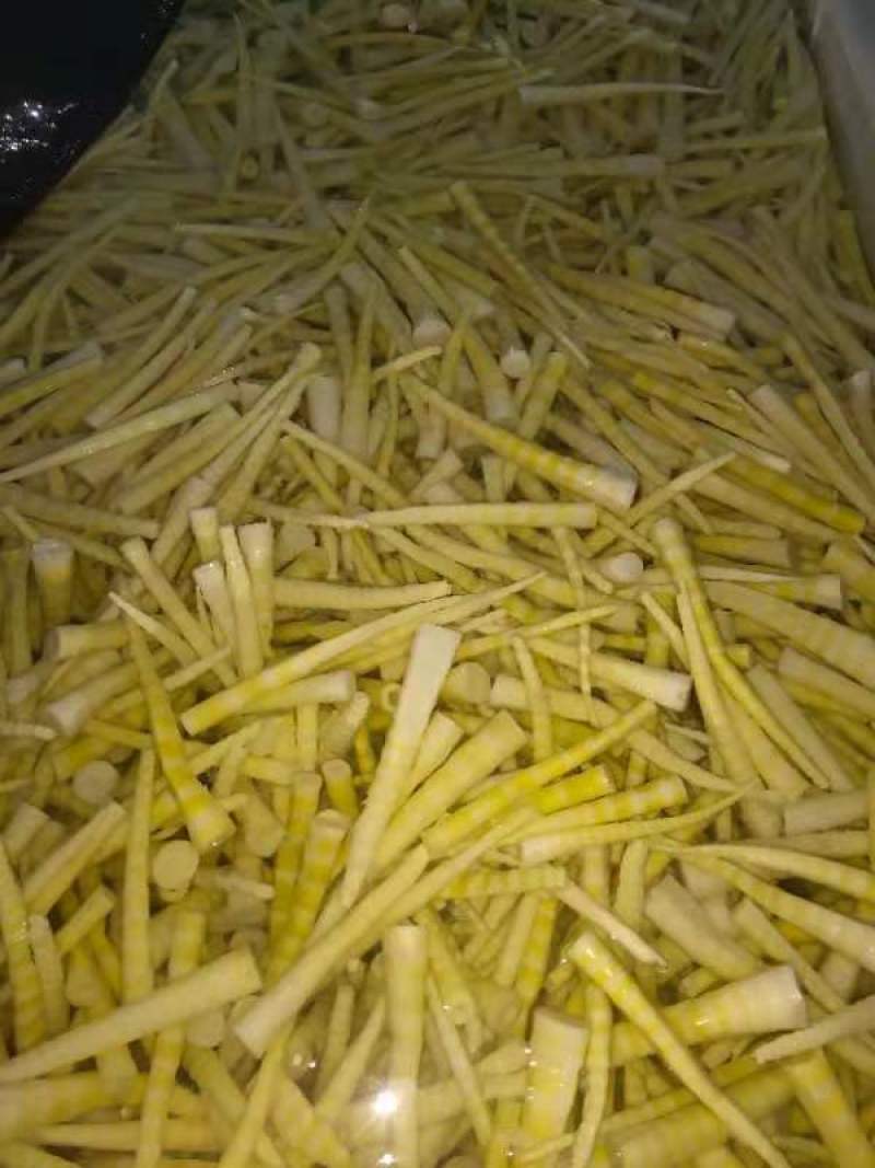 供应竹笋，竹笋农家蔬菜体量大，质量好，价格优