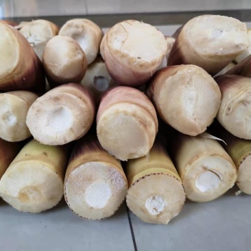 供应竹笋，竹笋农家蔬菜体量大，质量好，价格优