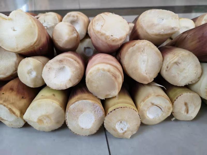 供应竹笋，竹笋农家蔬菜体量大，质量好，价格优
