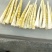 供应竹笋，竹笋农家蔬菜体量大，质量好，价格优