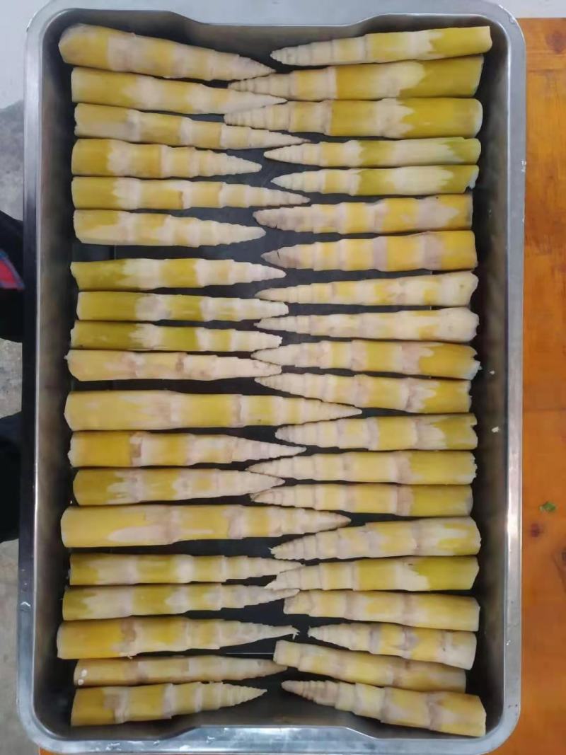 供应竹笋，竹笋农家蔬菜体量大，质量好，价格优