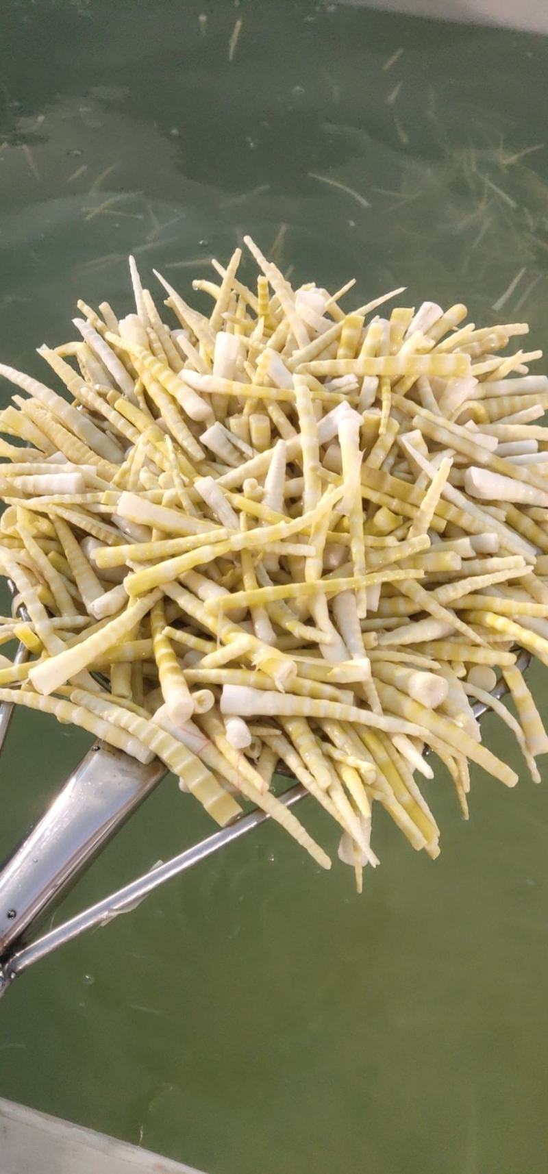 供应竹笋，竹笋农家蔬菜体量大，质量好，价格优