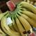 主营香蕉，云南香蕉，口感好价格低，质量保证！