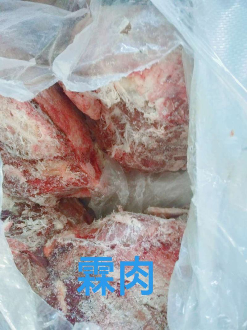 去皮去骨新鲜马肉牧场产地检疫合格健康美味
