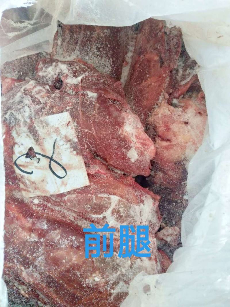 去皮去骨新鲜马肉牧场产地检疫合格健康美味