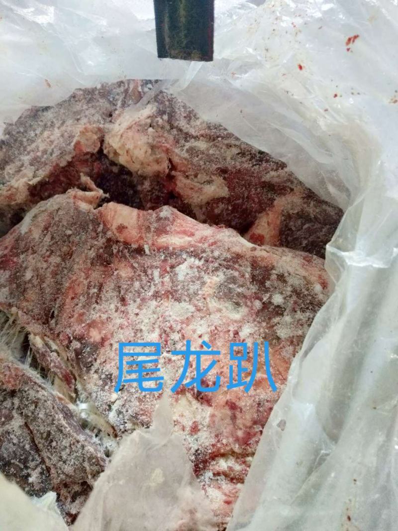去皮去骨新鲜马肉牧场产地检疫合格健康美味