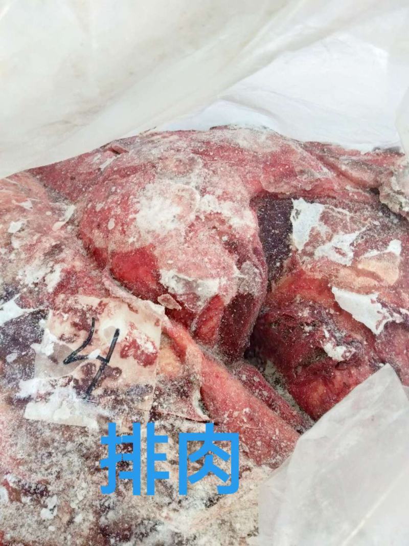 去皮去骨新鲜马肉牧场产地检疫合格健康美味