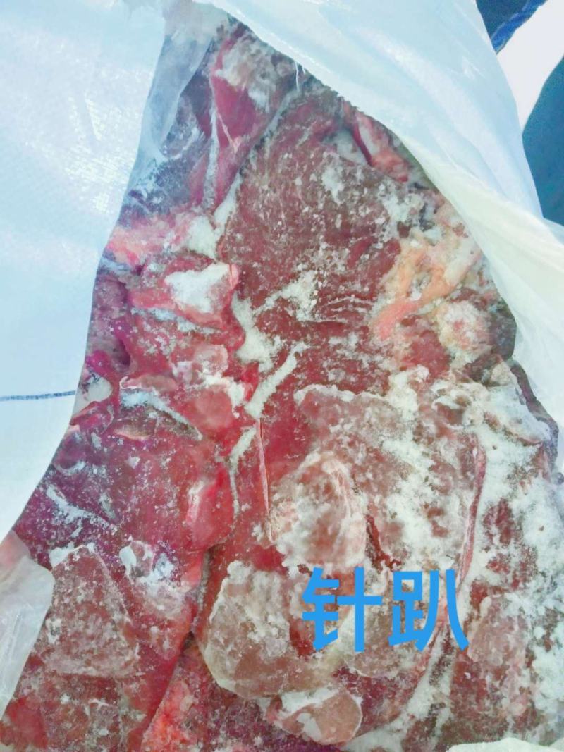 去皮去骨新鲜马肉牧场产地检疫合格健康美味