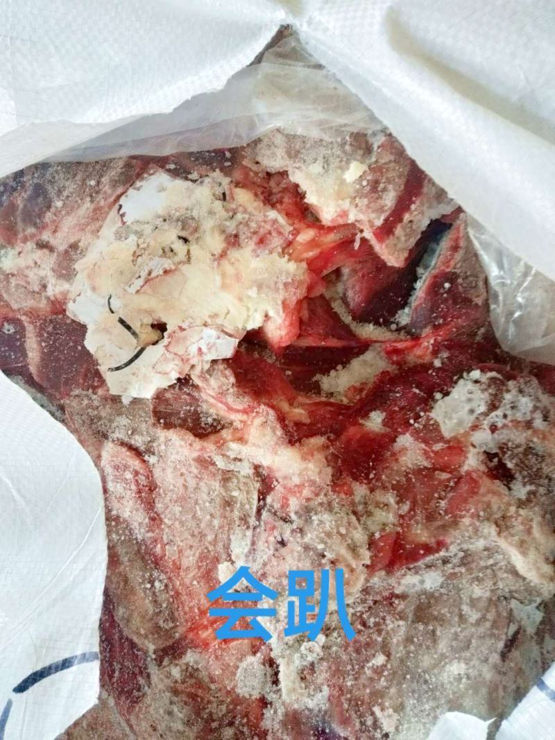 去皮去骨新鲜马肉牧场产地检疫合格健康美味
