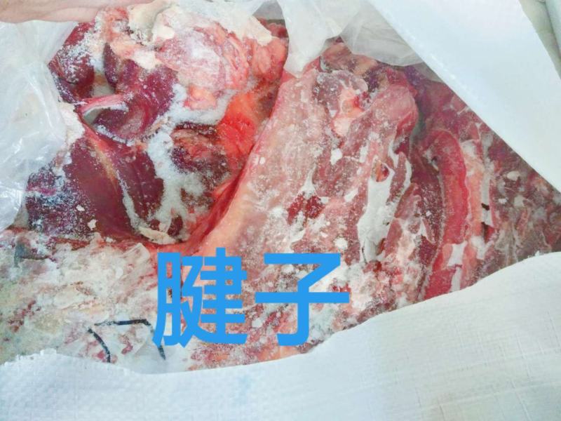 去皮去骨新鲜马肉牧场产地检疫合格健康美味