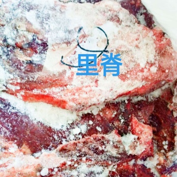 去皮去骨新鲜马肉牧场产地检疫合格健康美味