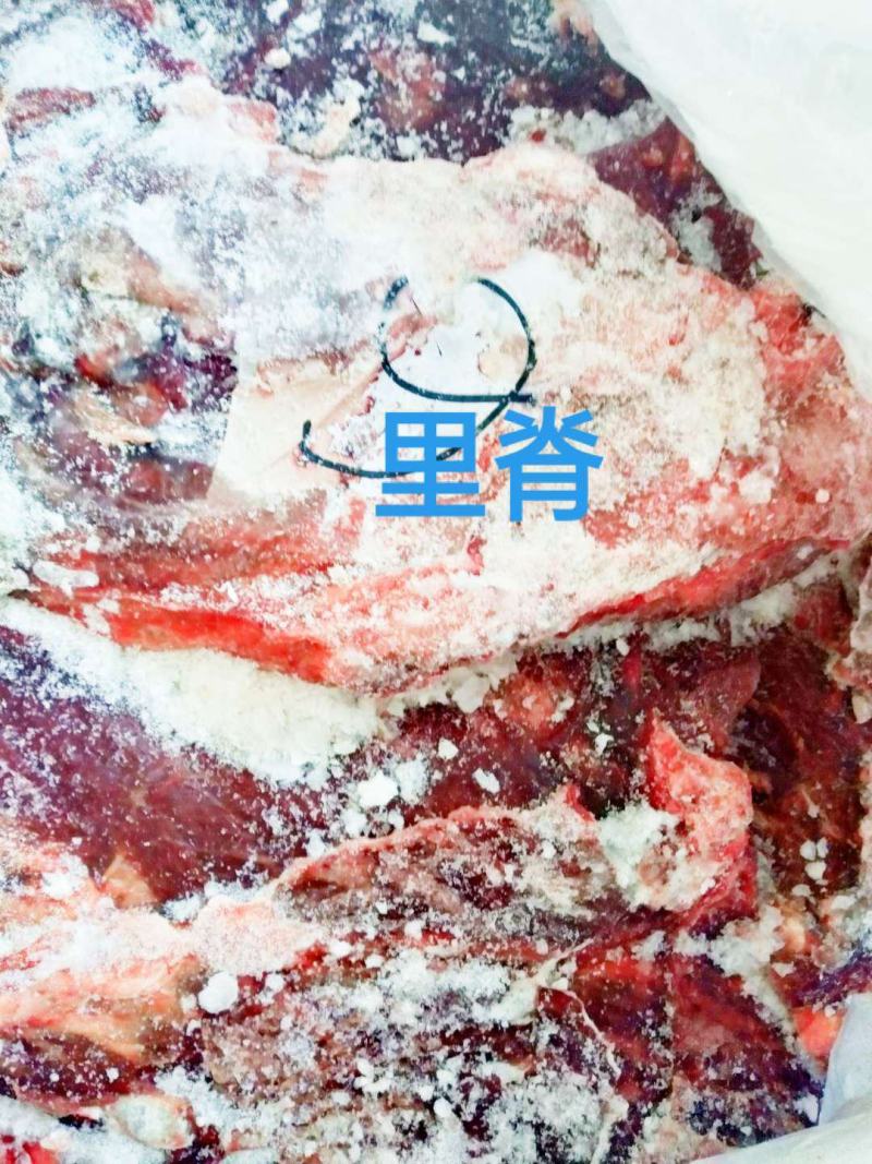 去皮去骨新鲜马肉牧场产地检疫合格健康美味