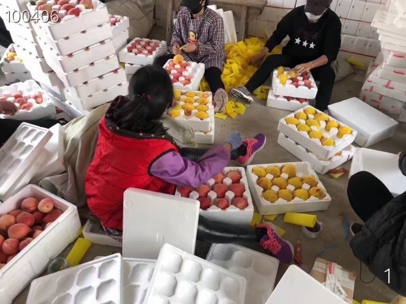 精品春雪电商，一件代发，欢迎客户联系前来收，量大从优