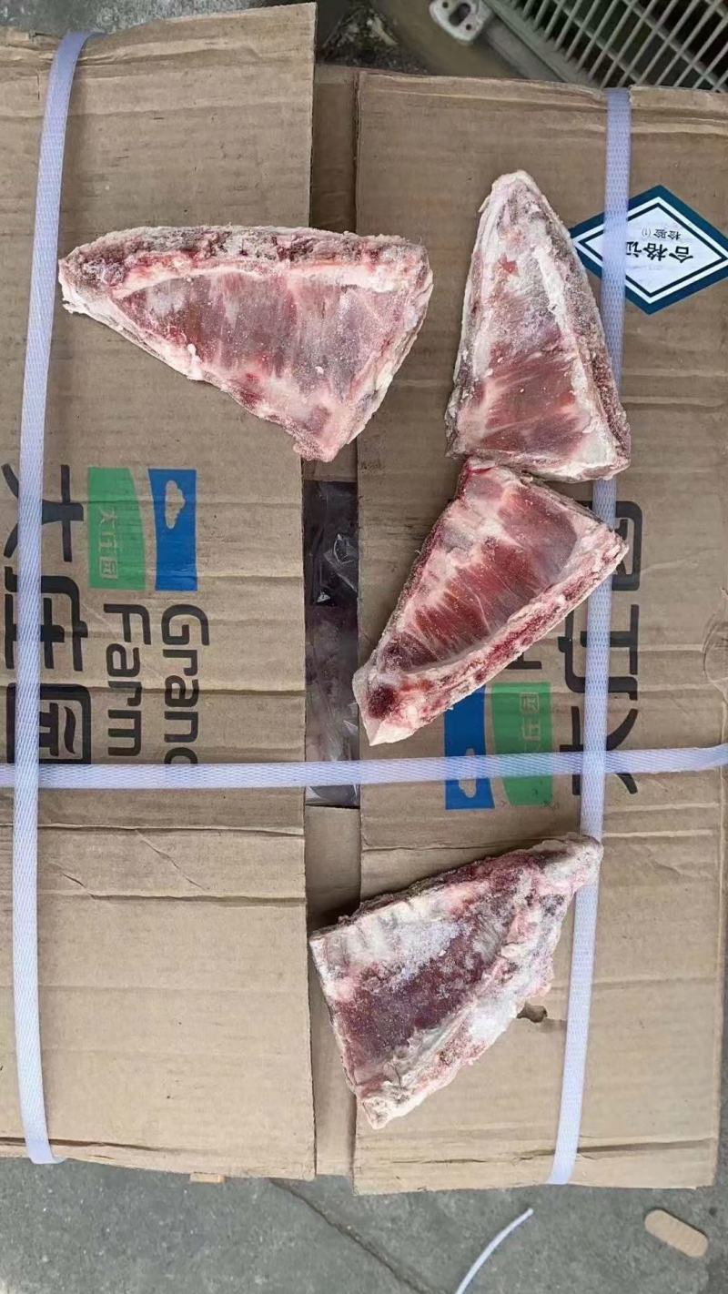 羊角排羔羊羊角排一手货源支持验货