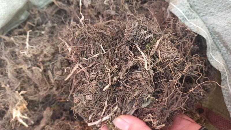 蜘蛛香批发零售中药材正品保障各种规格专业经营中药批