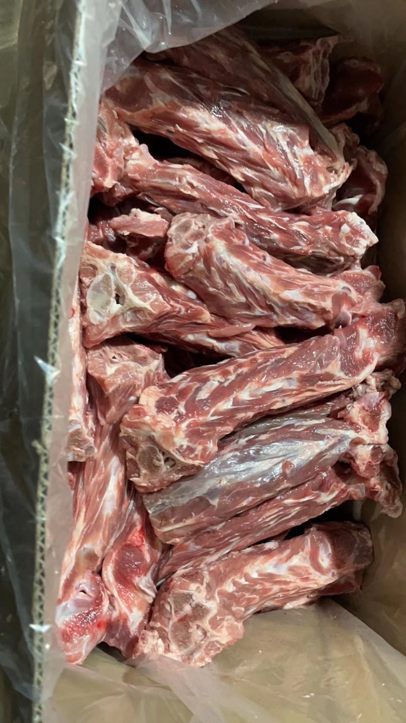 羔羊短脖骨羔羊长脖骨