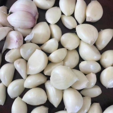 紫皮大蒜1000斤起发个头大一件60斤左右