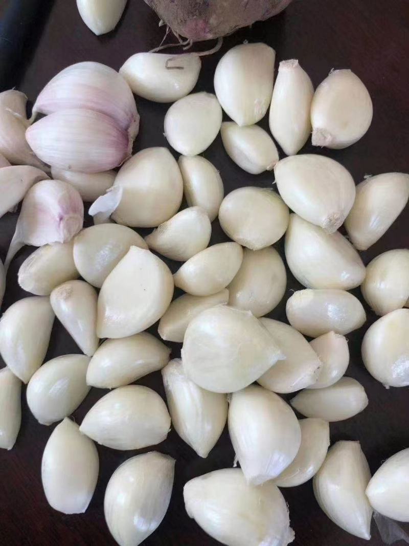 紫皮大蒜1000斤起发个头大一件60斤左右