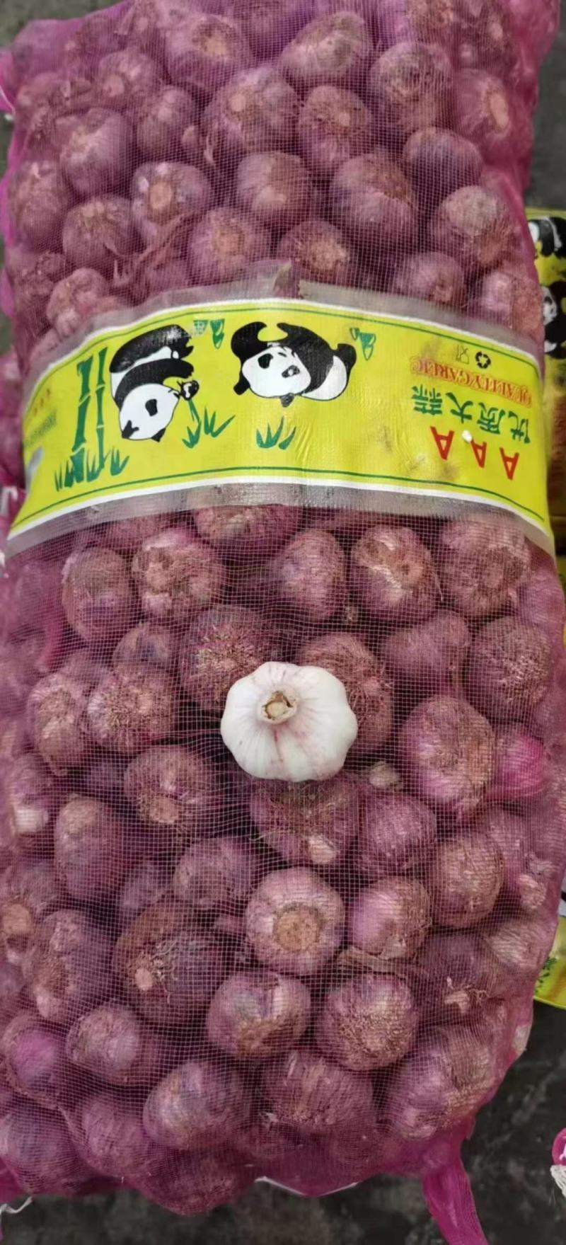 紫皮大蒜1000斤起发个头大一件60斤左右