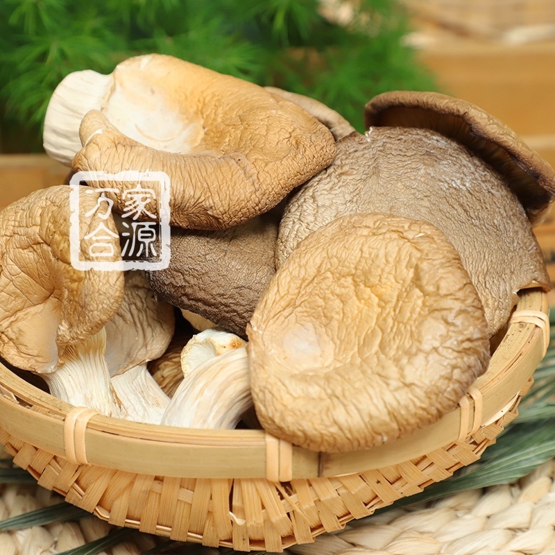 【万家合源南北干货特卖会】平菇帽子