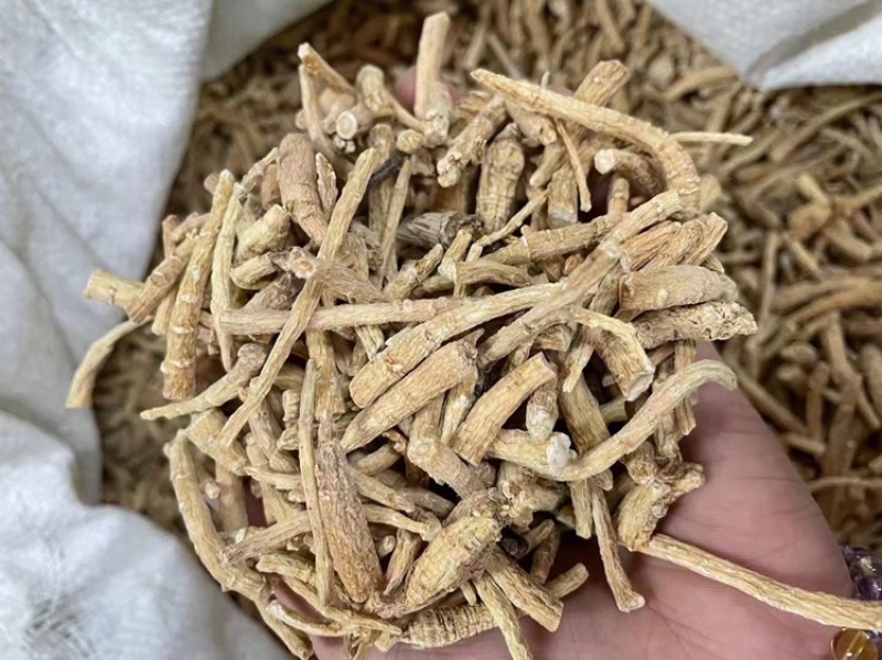 进口西洋参小节国产西洋参小节质量保证价格实惠