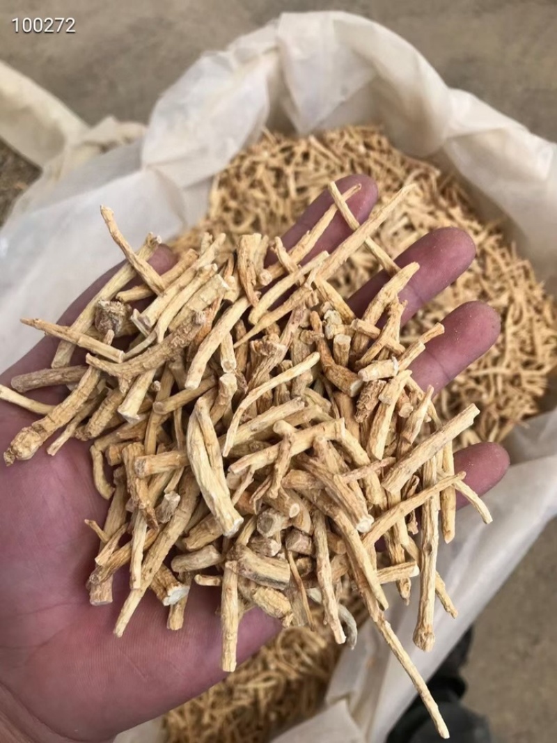 进口西洋参小节国产西洋参小节质量保证价格实惠