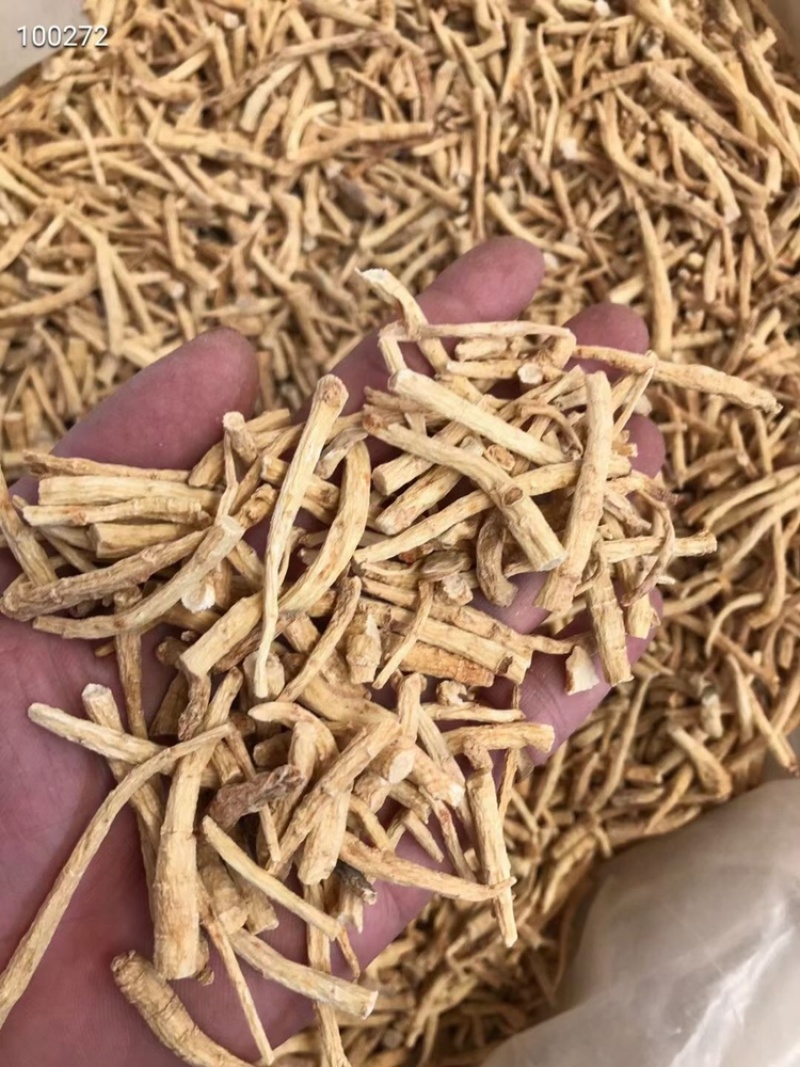 进口西洋参小节国产西洋参小节质量保证价格实惠