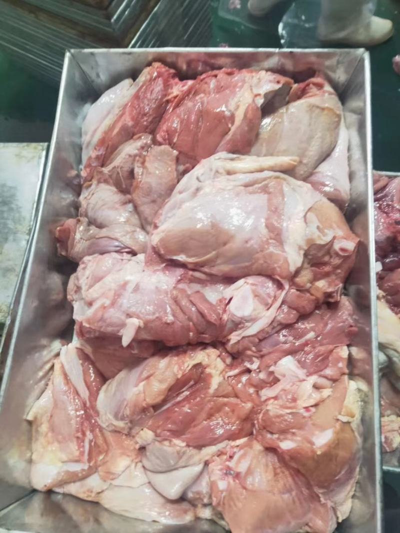 【乳牛肉】乳牛肉乳牛，牛腿肉，货源冻牛肉乳牛后腿