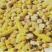 销售熟玉米碎玉米牛羊饲料厂家直销饲料货源充足量大优惠