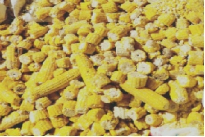 销售熟玉米碎玉米牛羊饲料厂家直销饲料货源充足量大优惠