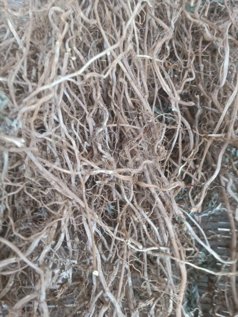 艾根，纯野生艾根，干货