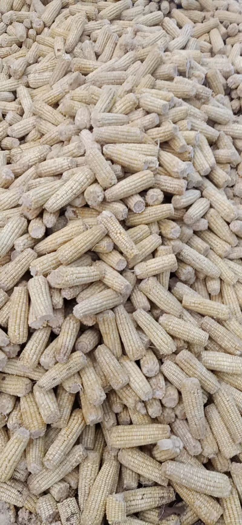 销售熟玉米碎玉米牛羊饲料厂家直销饲料货源充足量大优惠
