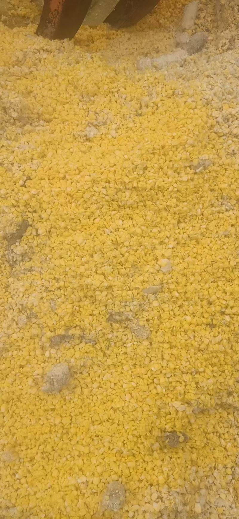 销售熟玉米碎玉米牛羊饲料厂家直销饲料货源充足量大优惠